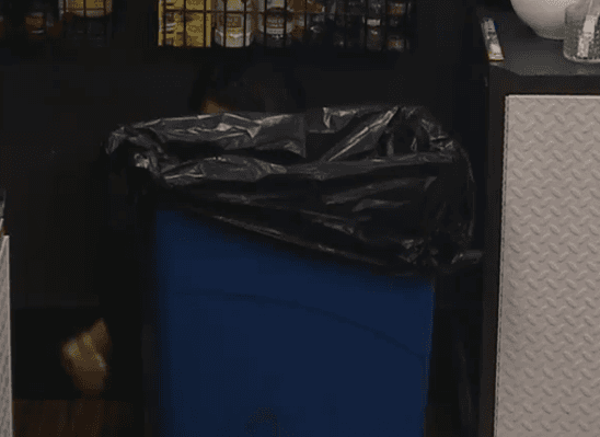 Big Brother 15 – Monday Updates