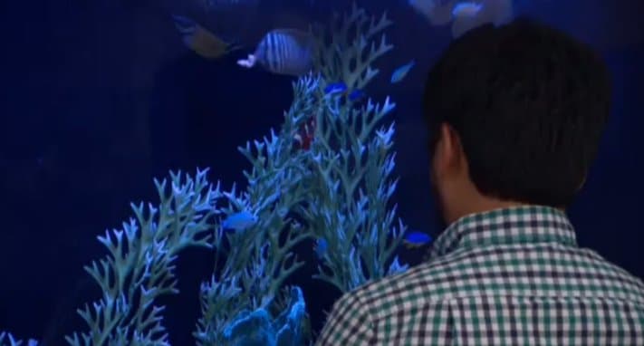 Big Brother 18 – Afternoon/Evening Live Feeds 6/25