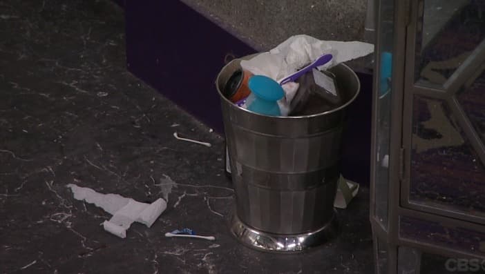 Big Brother 19 Season In Review