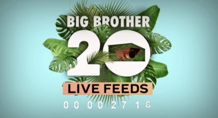 Spoilers – Feeds Up! Here Is What We Know