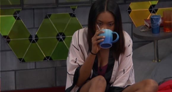 Big Brother 20 – Friday Feed Updates