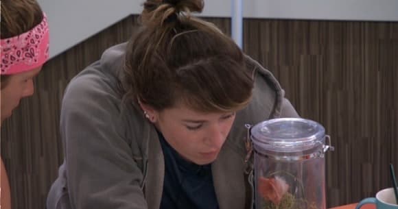 Big Brother 20 – Brief Afternoon Feeds