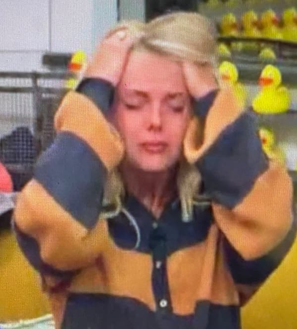 Big Brother 22 – House Mood