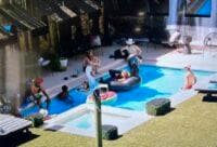 One of my favorite things about BB is watching them hang out by the pool