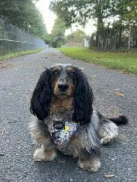Fe said she always traveled with her dog Sunny. He would fly with her and was a good dog for 19 years.