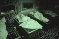 Sshhhh…HGs are sleeping. The 4 HNs seemed excited about their new room last night.