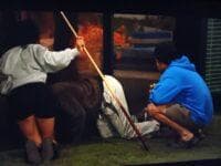 Chelsie, Cedric, and Cam try to gear the spat between Kenney and Brooklyn.