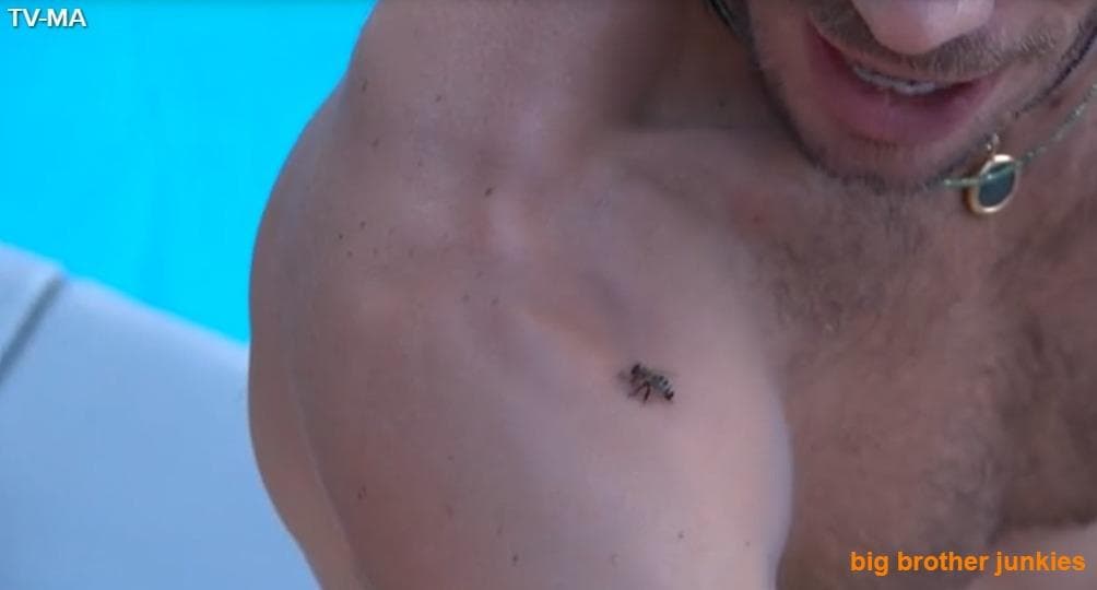Big Brother 26 – Tuesday Feed Updates 8/20